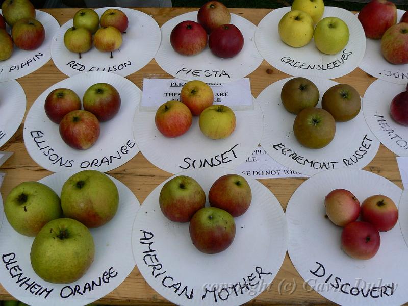 Apple Day, Orchard, Fenton House P1150026.JPG